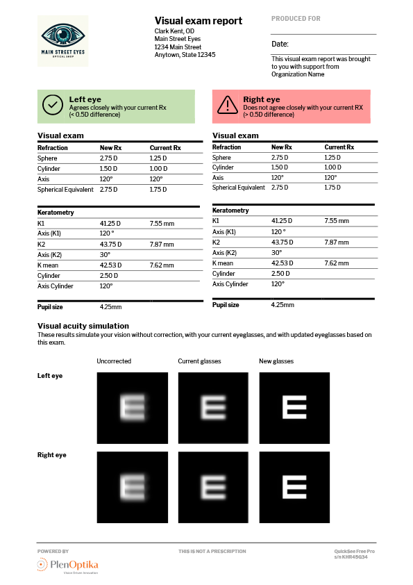 Preview of patient report printout